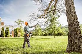 Reliable Goldens Bridge, NY Tree Care Solutions
